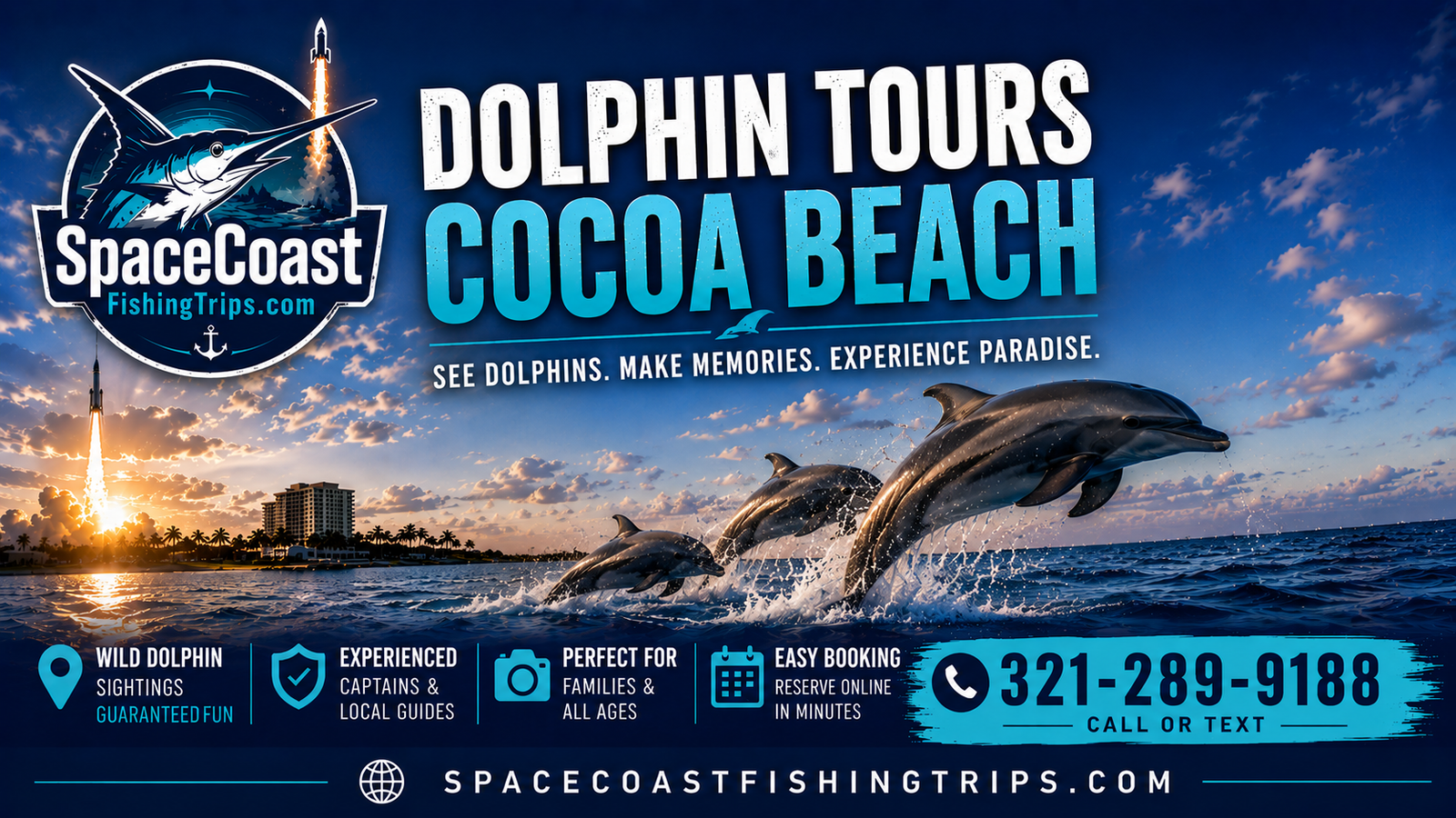 dolphin tours